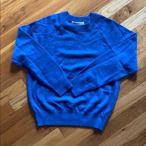 Everlane blue wool sweater